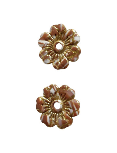 Pampilles marguerite -Floraison d'Automne