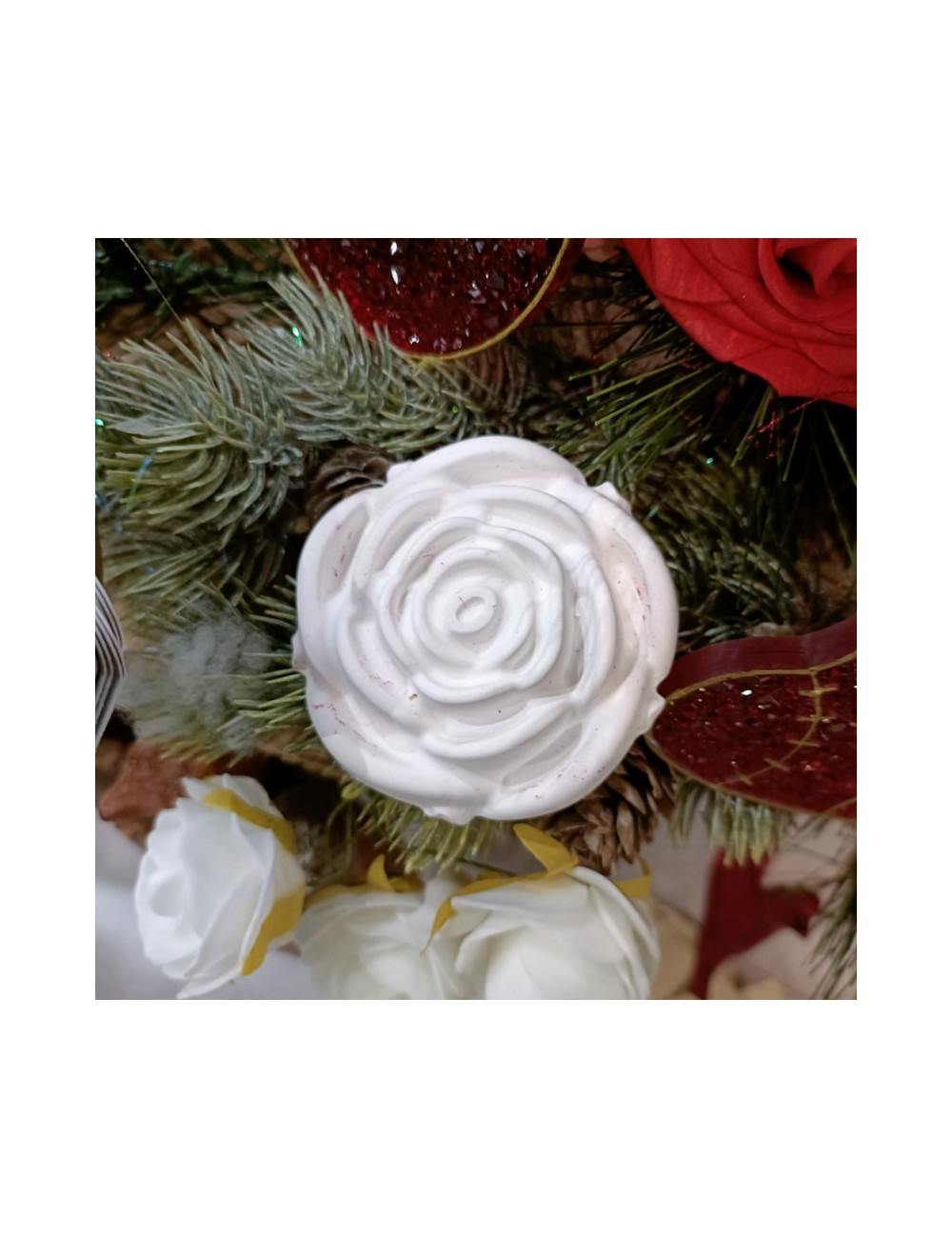 Rose de Merveille