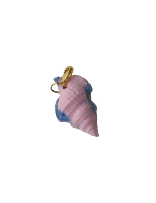 La plage - coquillage