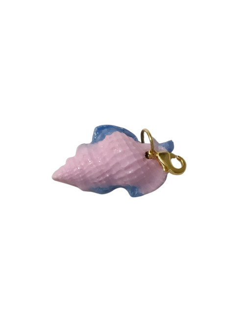 La plage - coquillage