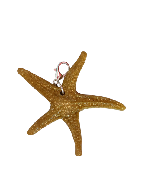 Charme étoile de mer